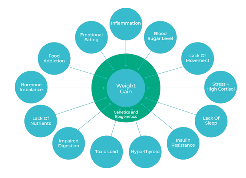 Metabolic Balance Nutritional Matters